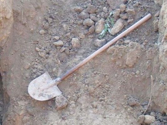 Romii s-au luat la bătaie în Kogălniceanu de la o ipotetică nuntă